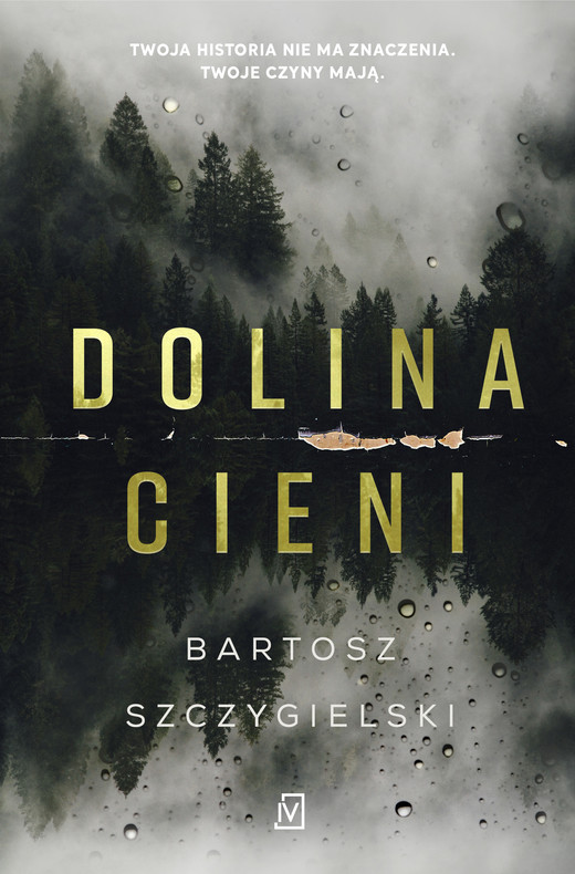 okładka Dolina Cieni ebook | epub, mobi | Bartosz Szczygielski