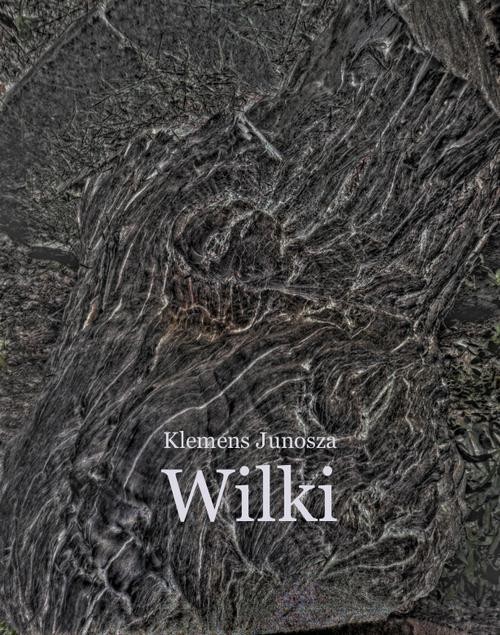 okładka Wilki. Z notatek komornika sądowego ebook | epub, mobi | Klemens Junosza