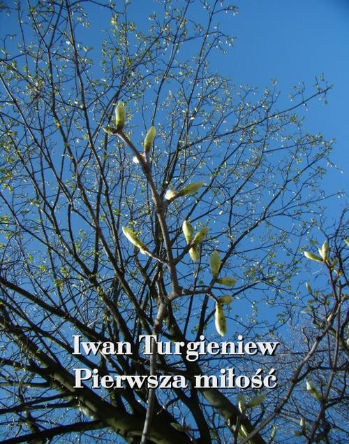 okładka Pierwsza miłość ebook | epub, mobi | Iwan Turgieniew