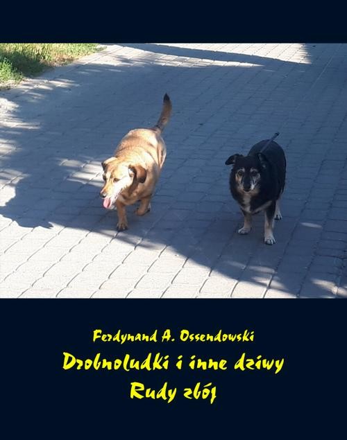 okładka Drobnoludki i inne dziwy. Rudy zbój ebook | epub, mobi | Ferdynand Antoni Ossendowski