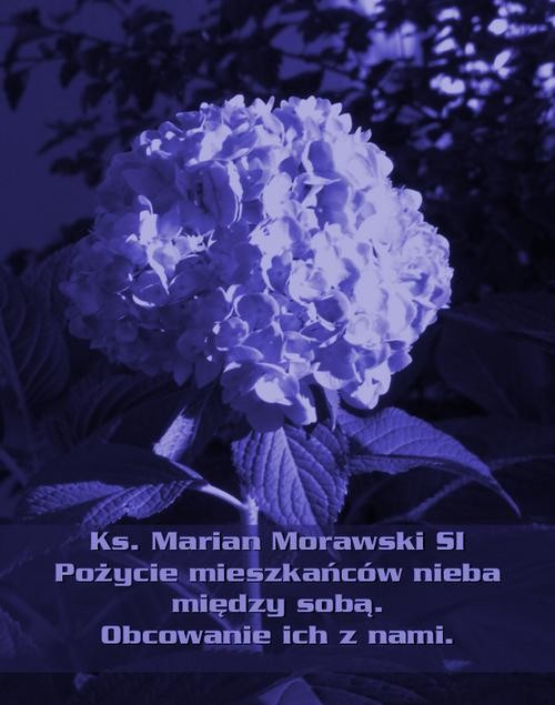 okładka Pożycie mieszkańców nieba między sobą. Obcowanie ich z nami. ebook | epub, mobi | Marian Morawski