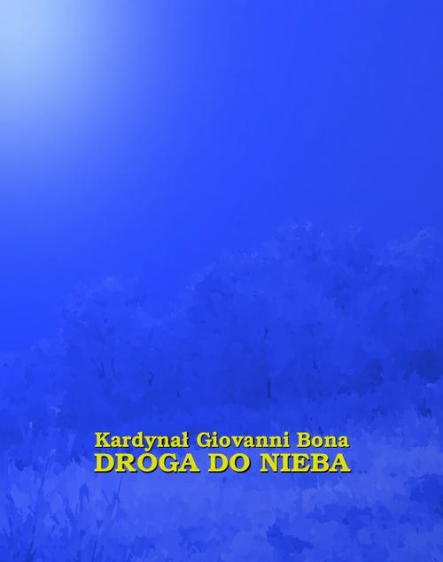 okładka Droga do nieba ebook | epub, mobi | Giovanni Bona