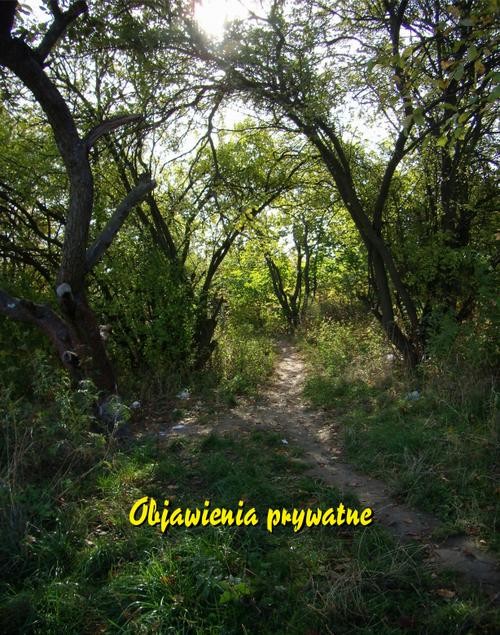 okładka Objawienia prywatne ebook | epub, mobi | Praca Zbiorowa