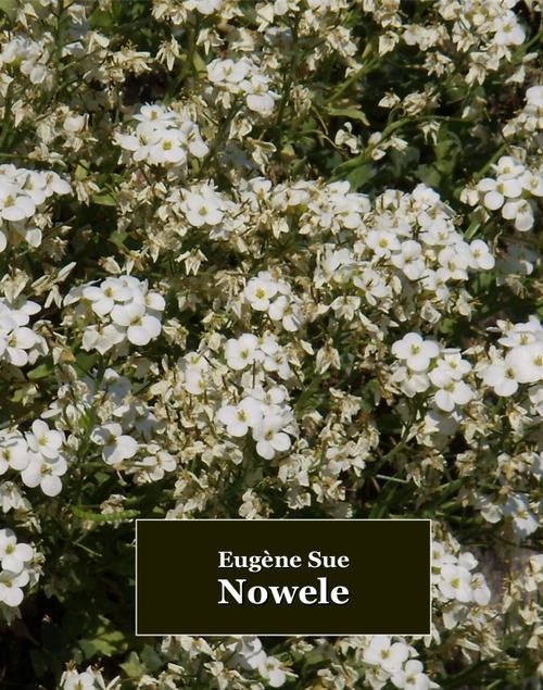 okładka Nowele ebook | epub, mobi | Eugène Sue