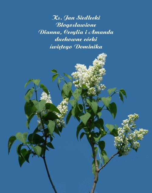 okładka Błogosławione Dianna, Cecylia i Amanda duchowne córki świętego Dominika ebook | epub, mobi | Ks. Jan Siedlecki
