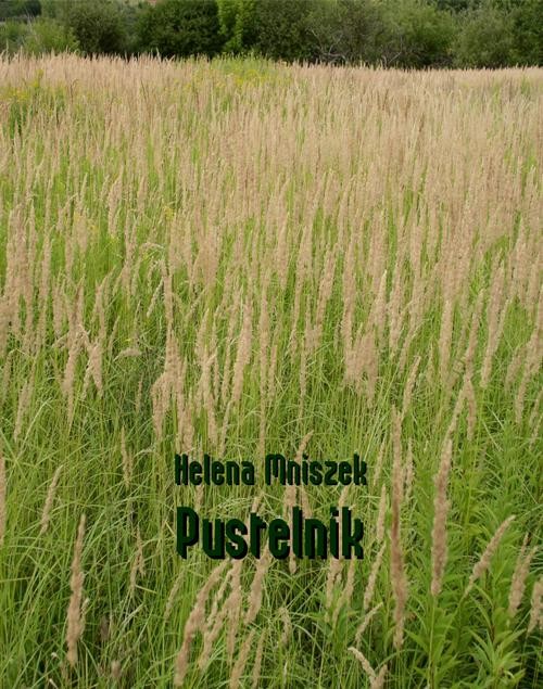 okładka Pustelnik ebook | epub, mobi | Helena Mniszek