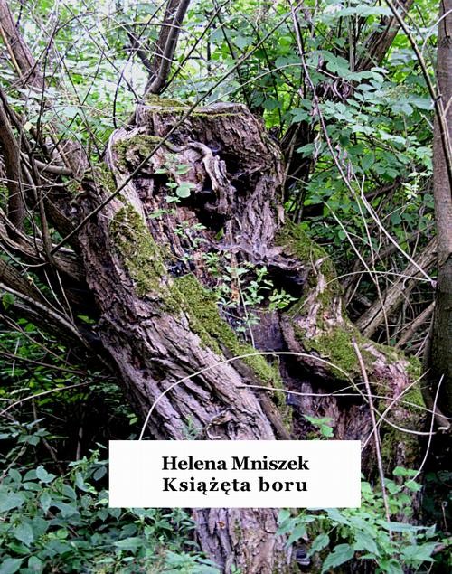 okładka Książęta boru ebook | epub, mobi | Helena Mniszek