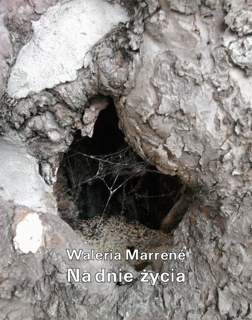 okładka Na dnie życia ebook | epub, mobi | Waleria Marrené-Morzkowska