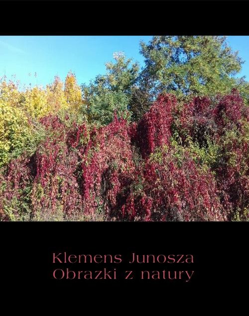 okładka Obrazki z natury ebook | epub, mobi | Klemens Junosza