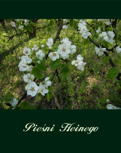 okładka Pieśni ebook | epub, mobi | Heinrich Heine