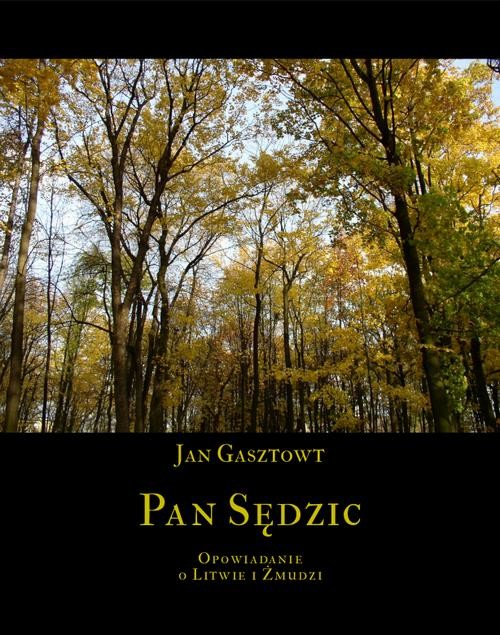 okładka Pan Sędzic ebook | epub, mobi | Jan Gasztowt