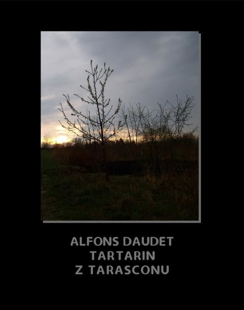 okładka Tartarin z Tarasconu ebook | epub, mobi | Alphonse Daudet