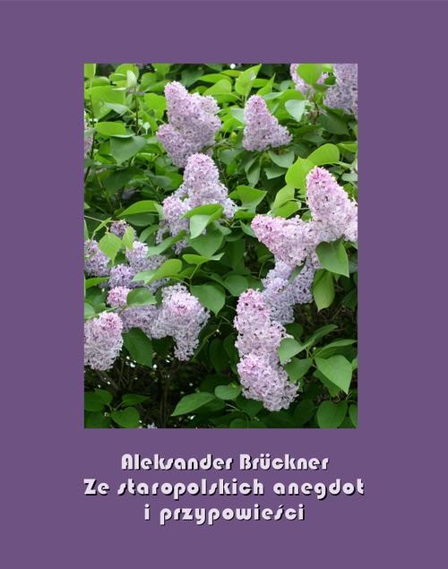okładka Ze staropolskich anegdot i przypowieści ebook | epub, mobi | Aleksander Brückner
