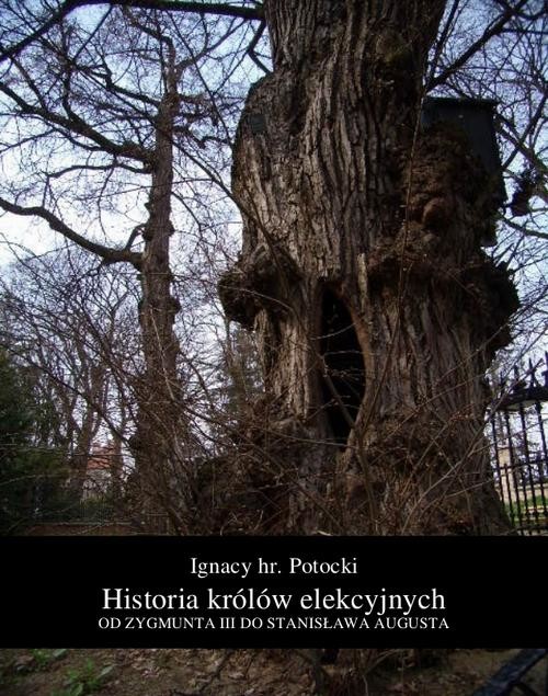 okładka Historia królów elekcyjnych – od Zygmunta III do Stanisława Augusta ebook | epub, mobi | Ignacy Potocki