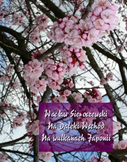 okładka Na Daleki Wschód. Na wulkanach Japonii ebook | epub, mobi | Wacław Sieroszewski