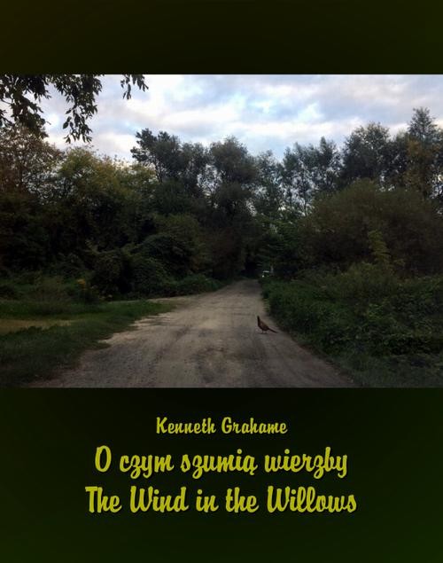 okładka O czym szumią wierzby. The Wind in the Willows ebook | epub, mobi | Kenneth Grahame