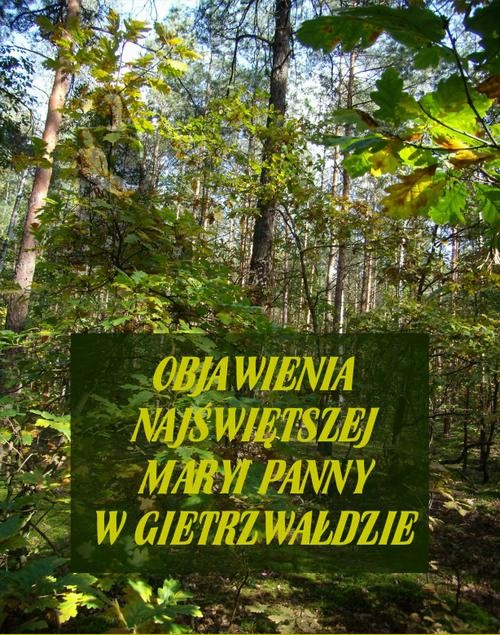 okładka Objawienia Najświętszej Maryi Panny W Gietrzwałdzie. Ze źródeł autentycznych ebook | epub, mobi | Stanisław Roman, Andrzej Samulowski