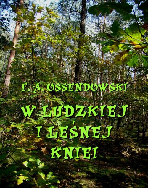 okładka W ludzkiej i leśnej kniei ebook | epub, mobi | Ferdynand Antoni Ossendowski