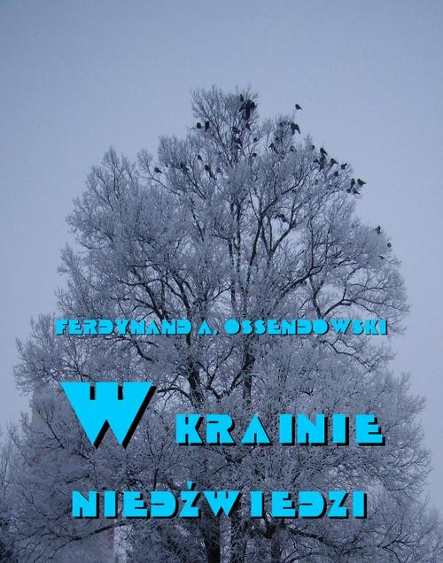 okładka W krainie niedźwiedzi ebook | epub, mobi | Ferdynand Antoni Ossendowski