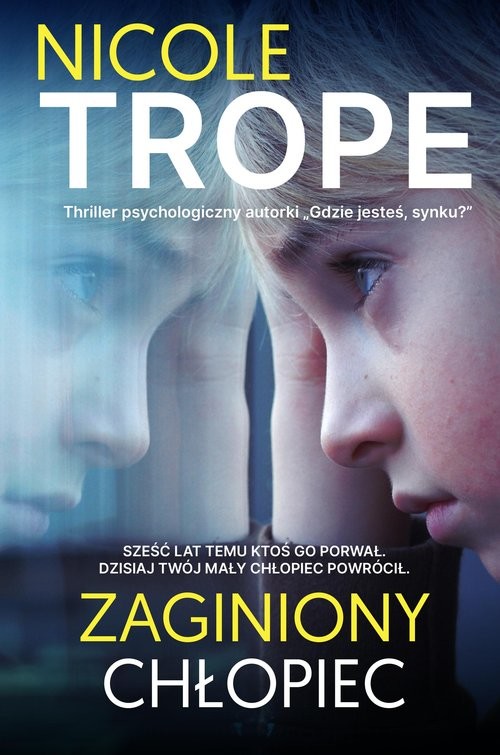 okładka Zaginiony chłopiec książka | Nicole Trope