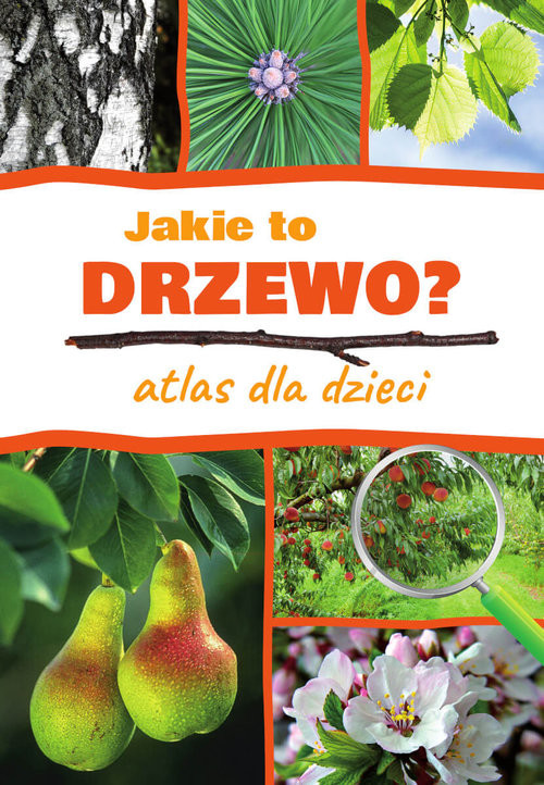 okładka Jakie to drzewo? Atlas dla dzieci książka | Aleksandra Halarewicz