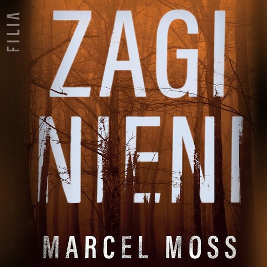 okładka Zaginieni audiobook | MP3 | Marcel Moss