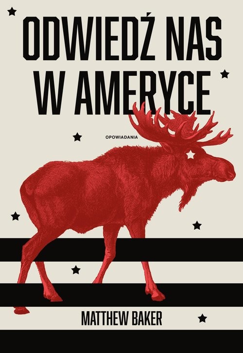 okładka Odwiedź nas w Ameryce książka | Matthew Baker