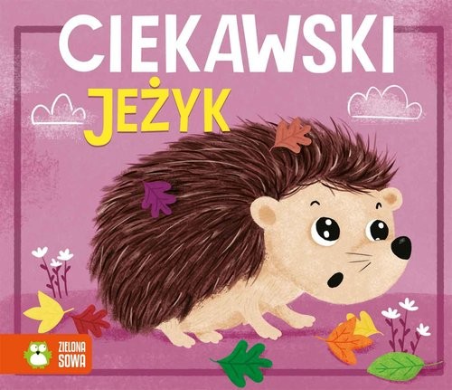 okładka Historyjki harmonijki Ciekawski jeżyk książka