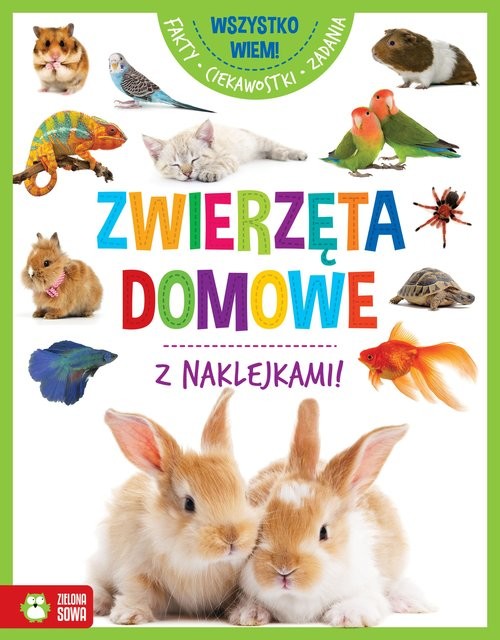 okładka Wszystko wiem! Zwierzęta domowe książka