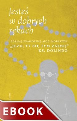 okładka Jesteś w dobrych rękach ebook | epub, mobi | Karol Wilczyński