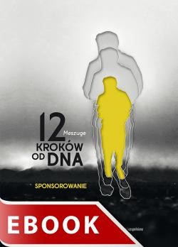 okładka 12 kroków od dna. Sponsorowanie ebook | epub, mobi | Meszuge
