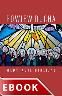 okładka Powiew Ducha ebook | epub, mobi | Stanisław Biel SJ
