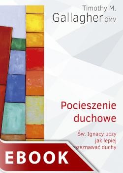 okładka Pocieszenie duchowe ebook | epub, mobi | Timothy M. Gallagher