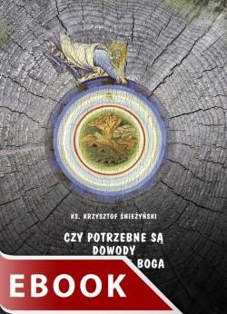 okładka Czy potrzebne są dowody na istnienie Boga ebook | epub, mobi | Krzysztof Śnieżyński