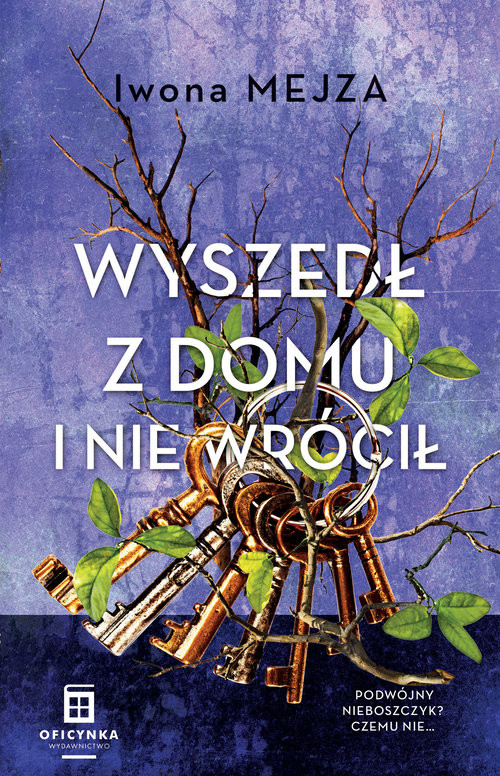 okładka Wyszedł z domu i nie wrócił książka | Iwona Mejza