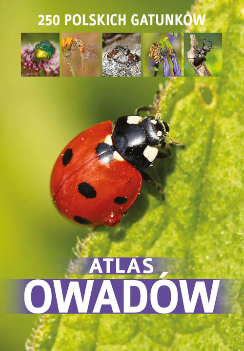 okładka Atlas owadów książka | Twardowska Kamila, Jacek Twardowski