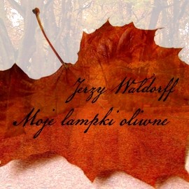 okładka Moje lampki oliwne audiobook | MP3 | Jerzy Waldorff