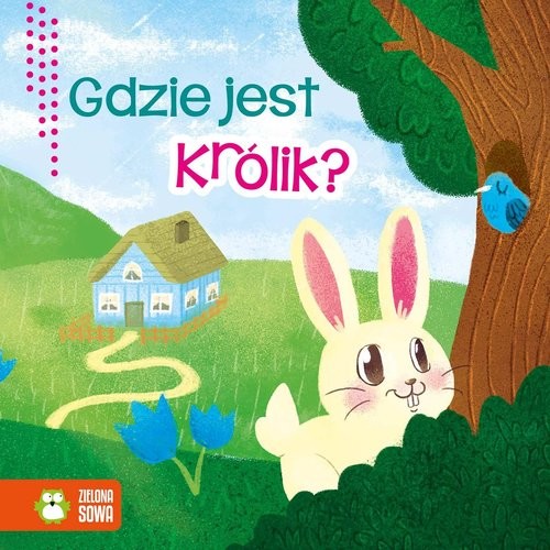 okładka Wiosenne bajeczki Gdzie jest królik? książka