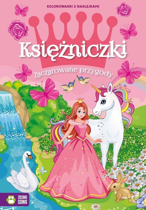 okładka Księżniczki Zaczarowane przygody książka