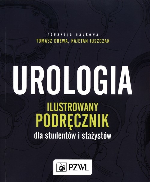 okładka Dwór cierni i róż Tom 1 książka | Sarah J. Maas