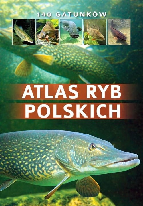 okładka Atlas ryb polskich książka | Wziątek Bogdan, Łukasz Kolasa