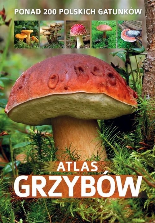 okładka Atlas grzybów książka | Patrycja Zarawska