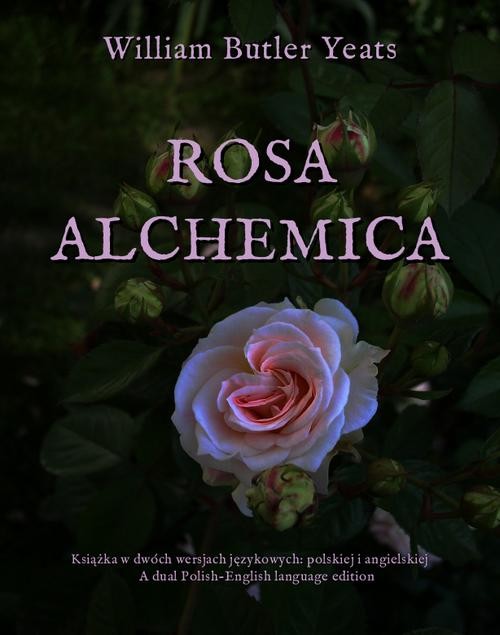 okładka Rosa alchemica ebook | epub, mobi | William Butler Yeats