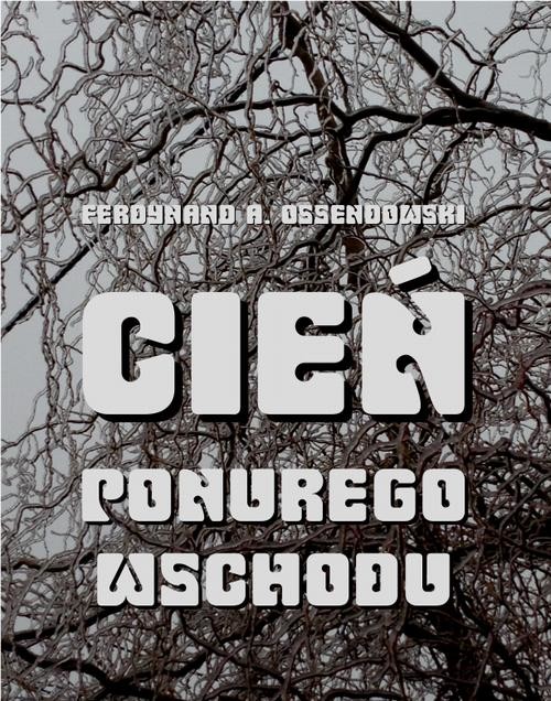 okładka Cień ponurego Wschodu. Za kulisami życia rosyjskiego ebook | epub, mobi | Ferdynand Antoni Ossendowski