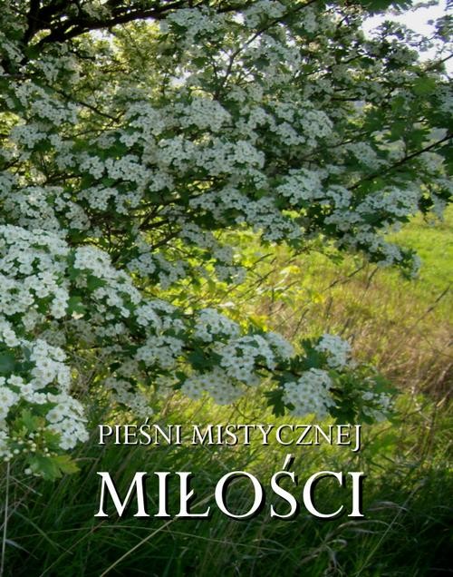 okładka Pieśni mistycznej miłości ebook | epub, mobi | Opracowania Zbiorowe
