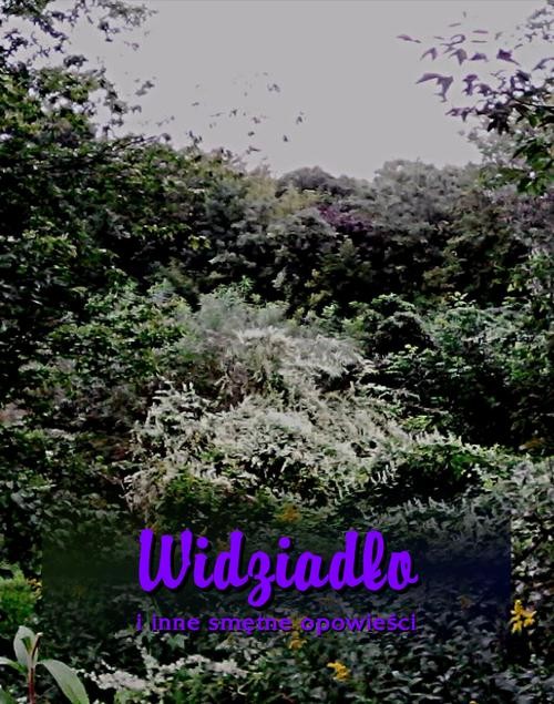 okładka Widziadło i inne smętne opowieści ebook | epub, mobi | Opracowania Zbiorowe