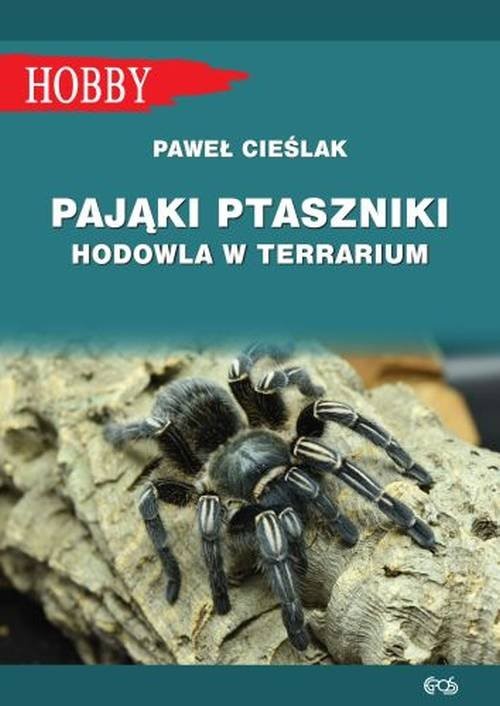okładka Pająki ptaszniki. Hodowla w terrarium książka | Paweł Cieślak