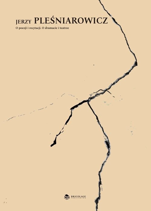 okładka Jerzy Pleśniarowicz O poezji i recytacji O dramacie i teatrze książka | Pleśniarowicz Jerzy