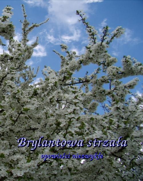 okładka Brylantowa strzała. Opowieści niezwykłe ebook | epub, mobi | Opracowania Zbiorowe