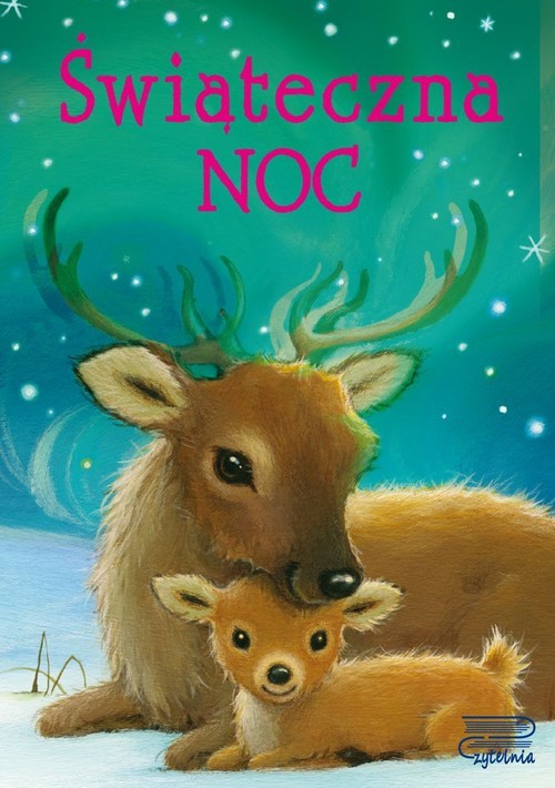 okładka Świąteczna noc książka